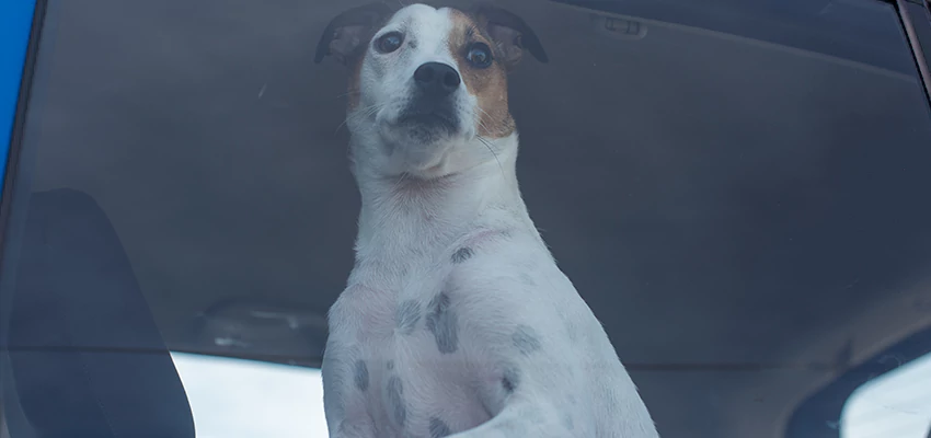 Car Lockout Solutions in Martinez, California